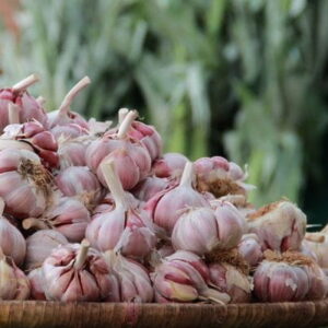 Ajo Morado Pascual y Merche