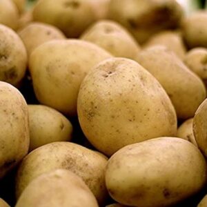 Patata Monalisa Pascual y Merche