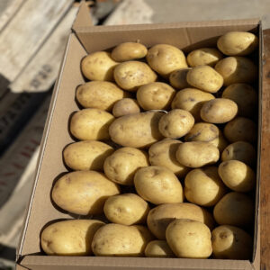 Patata Spunta Pascual y Merche