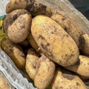 Patata Spunta Tierra Pascual y Merche